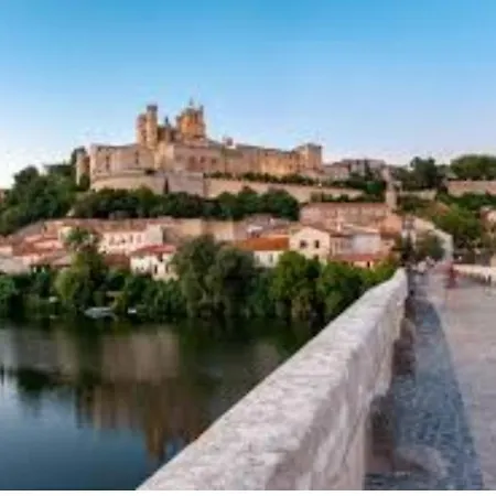 Charmant T1 A 5 Min A Pieds Du Centre Ville ! Béziers Buitenkant foto